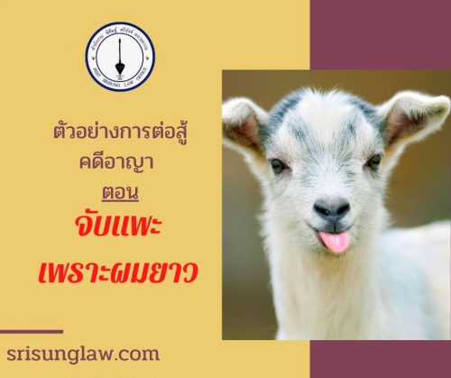 คดีพยายามฆ่า จับแพะ