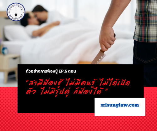 ตัวอย่างคดีฟ้องชู้
